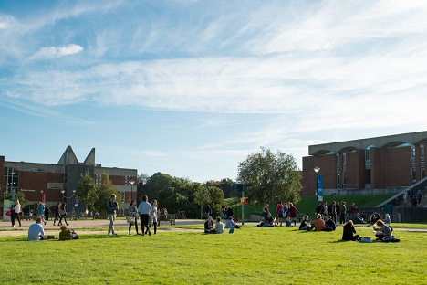 University of Sussex kampüsündeki yeşil alanda oturan ve konuşan arkadaş grupları